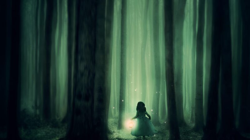 hypnotherapeute Vendôme